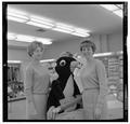 Toni Turner and Gail Nomi, OSU students and Rose Festival Princesses, in the OSU Bookstore, 1962