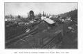 East view of the Curtiss Lumber Company plant, Mill City, Oregon