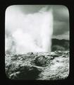 Pohutu Geyser, Rotorua, North Island