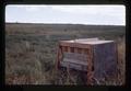 Alfalfa field with bee boards, August 1971