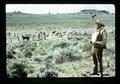 Reub Long near horses at water trough, Lake County, Oregon, circa 1972