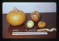 Pumpkin, apples, and corn fertilized with hummingbird and turkey droppings in Illinois, 1985