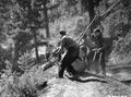 CCC crew clearing a roadside, Boise National Forest, Idaho