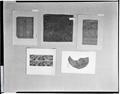 Fragment, Fragment, Fragment [and two unidentified pieces]