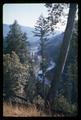 Rogue River from above through trees, circa 1965