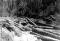 Log Drive on Coquille River, Oregon