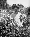 Man standing among flower bushes