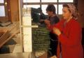 Margaret Nutt and staff Loading seedlings into flats for transport
