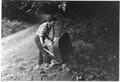 Woman dumping wheelbarrow