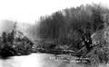 Log Jam, Nehalem River, Tillamook, Oregon