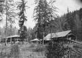 Main hotel and sawmill, McCredie Springs Resort, Cascade National Forest