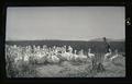 Dallas Lore Sharp with pelicans