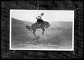 Andrew Jacks in the finals, Ashland Roundup, Ashland Studio [Bucking horse, copy]