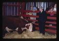 Senator Wayne Morse at Emery Moore Ranch picnic, Oregon, May 1968