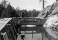 Irrigation diversion on Big Creek