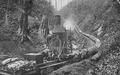 Logging in western Oregon with a steam donkey on a railroad car