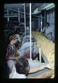 Workers in corn processing plant, Oregon, circa 1973
