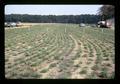 Field tests with burner, Oregon State University, Corvallis, Oregon, circa 1973