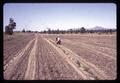 Superintendent Malcolm Johnson in plowed field, Central Oregon Branch Experiment Station, circa 1965