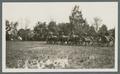 Horse-drawn caissons/limbers on campus, circa 1920