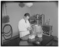 Faculty member testing milk in Withycombe Hall, April 1952