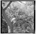 Storm damage of the "Big Blow", October 12, 1962