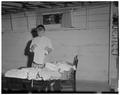 Folding baby clothes in the Kent House, May 1958