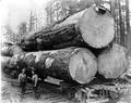 Big logs on train truck.