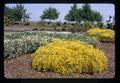 Ornamental plant area of North Willamette Experiment Station during OSU Foundation trustees meeting, Aurora, Oregon, circa 1972