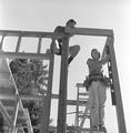 Two women constructing a building