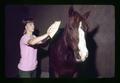 Student brushing horse, Equitation Center, Oregon State University, Corvallis, Oregon, circa 1972