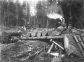 Loading platform with logs next to logging railroad