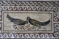 Birds in frame of Niolotic mosaic