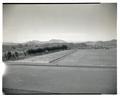 The OSC tennis courts with Marys Peak in the background