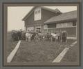 Cattle Judging class at Oregon Agricultural College, class of 1908