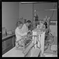 Students working in lab, Fall 1962