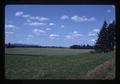 Clover pastures and wheat near Peoria, Linn County, Oregon, 1975