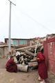 2015May_Kane_Yaqing_Temple_047