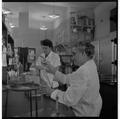 Faculty working with laboratory equipment in a Home Economics research lab, February 1964