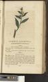 A New Family Herbal or Familiar Account of the Medical Properties of British and Foreign plants also their uses in Dying and the Various Arts arranged according to the Linnaean System [p199]