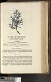 A New Family Herbal or Familiar Account of the Medical Properties of British and Foreign plants also their uses in Dying and the Various Arts arranged according to the Linnaean System [p885]