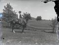 Man in a suit on a horse