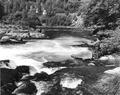 White water fishing in the North Umpqua River in the Cascade Mountains
