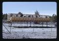 Cattle in raised pen, Squaw Butte Experiment Station, Burns, Oregon, 1974