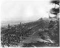 Construction of one of the trestles on the Yaquina Northern Railroad Line #11