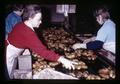 Workers sorting potatoes, Metolius, Oregon, February 1972