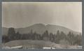 Marys Peak, snow at top, circa 1910