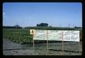 Evaluation of water stress in bean plants, Jackson Farm, Corvallis, Oregon, 1966