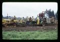 Workers harvesting lily bulbs near Wilsonville, Oregon, 1973