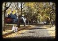 Autumn leaves on NW 32nd by Schultz home, Corvallis, Oregon, November 1975